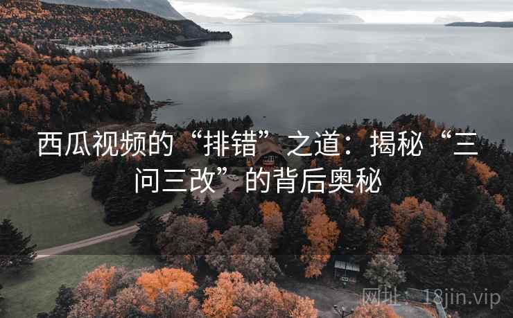 西瓜视频的“排错”之道：揭秘“三问三改”的背后奥秘  第1张